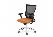 TERA WORKING CHAIR