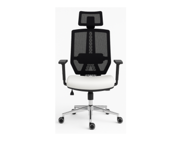 IDA - 01 (ID 4331)