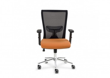 TERA WORKING CHAIR